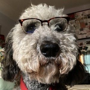 Meet your Posher, Celina